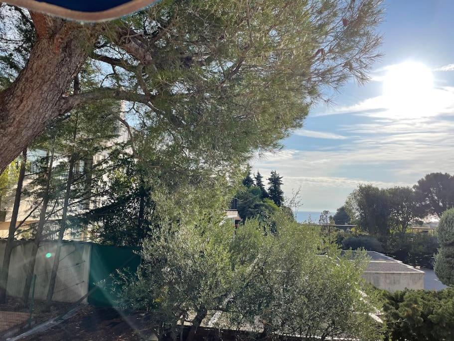 Cassis, Superbe Appartement Avec Terrasse Dış mekan fotoğraf